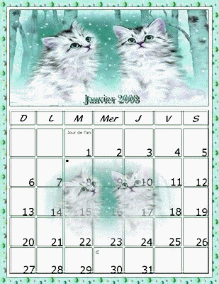 merci a José pour ce superbe calendrier avec ses amours de chatons