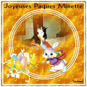 merci a notre gentil José pour ses magnifiques cadeaux