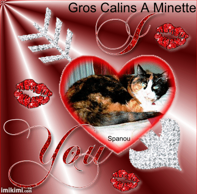merci a notre ami José pour cette sublime creationpour notre vieille et douce minette