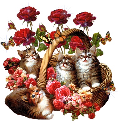 c pas mignon ce gif? tres bon week-end  a tous miaou,miaou 
