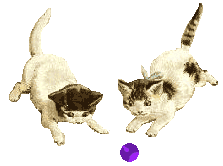 jeu  de chat  la petite balle qui l'auras????