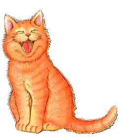 entretien de votre chat 