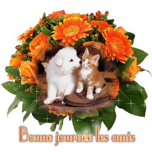merci pour ses merveilleuxse creations que vous offrez 