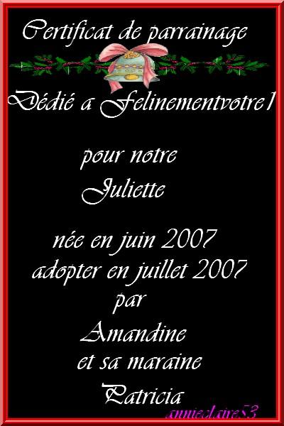 merci a felinementvotre1.skyblog.com pour son parrainage  pour notre juliette