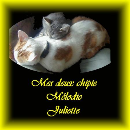nos deux chipies cadeau pour spanou33.vip-blog.com